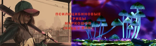 трава Елабуга