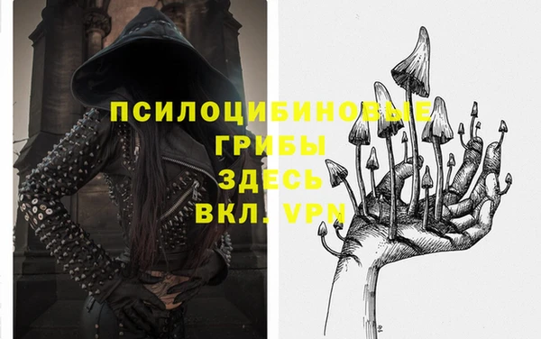 трава Елабуга